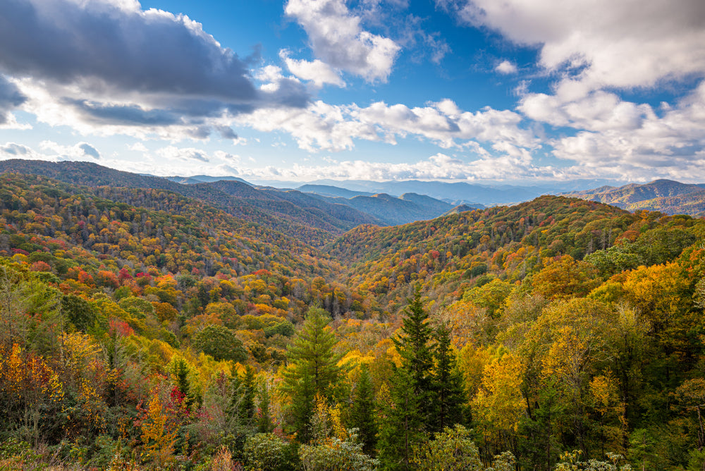 Top 3 Reasons Why Our Store is the Best Place to Gear Up for Fall in the Smoky Mountains