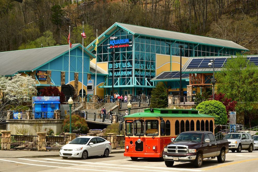 5 Fun Things to Do in Gatlinburg with Kids