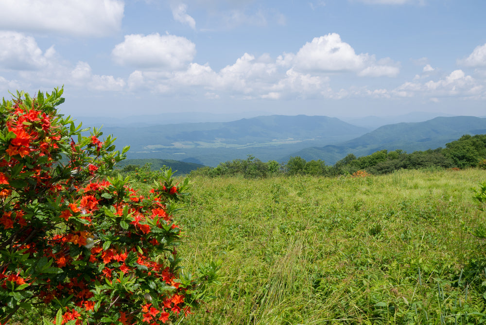 7 Things You Should Wear for Hiking in the Smoky Mountains