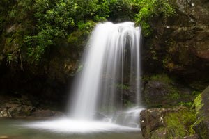 5 of the Best Hikes in the Smoky Mountains You Have to Try