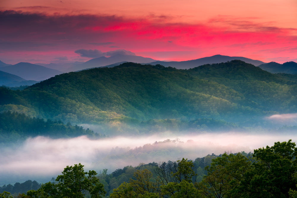 Top 5 Smoky Mountain Souvenirs You Have to Have