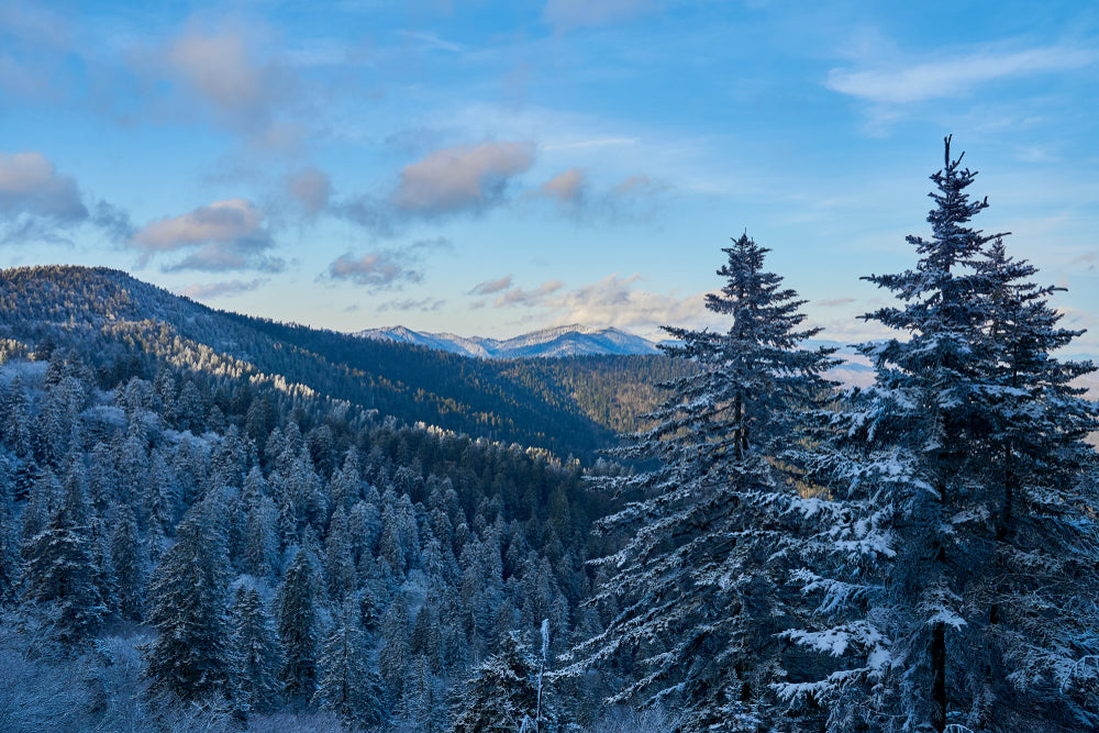 5 Smoky Mountain Souvenirs You Have to Have This Winter