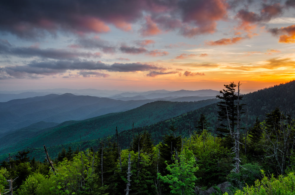 8 Fun Facts About the Great Smoky Mountains National Park