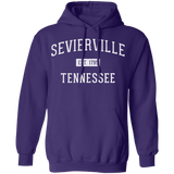 Sevierville Established - Pullover Hoodie