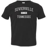 Sevierville Established Toddler Tee