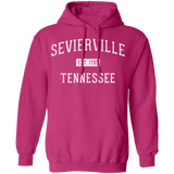 Sevierville Established - Pullover Hoodie