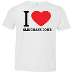 Love Clingmans Dome Toddler Tee