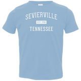 Sevierville Established Toddler Tee